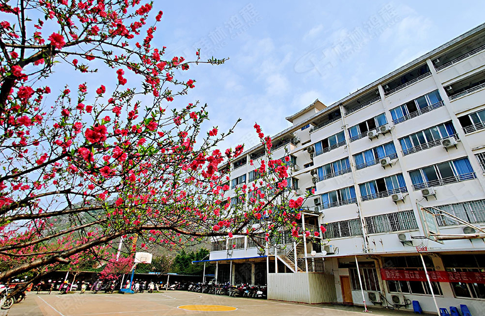 春暖花開,，桂林鴻程誠邀您共賞春景！